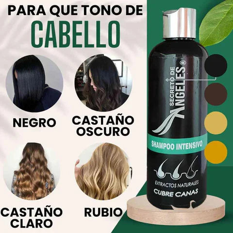 .Shampoo Cubre Canas SECRETO DE ÁNGELES + 2 OBSEQUIO